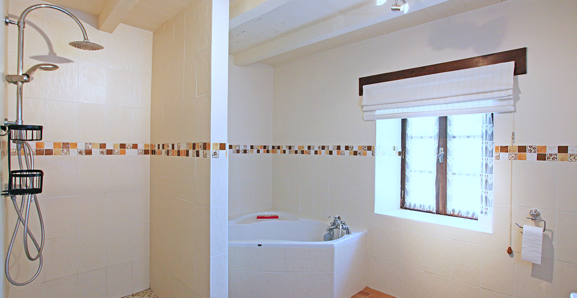 The ground floor accessible bath/shower room. There is also a separate WC