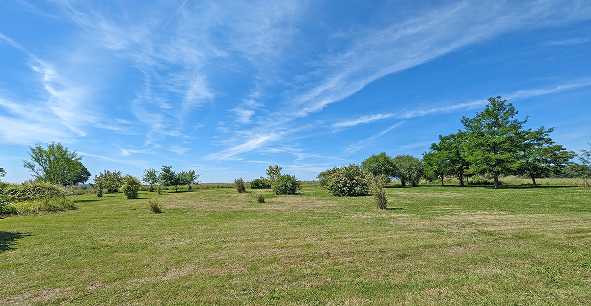 Plenty of countryside with big skies